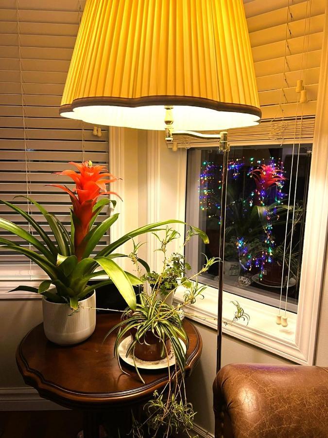 Lovely Comfy Home Private Bath In Central Calgary Luaran gambar